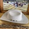 Texana Tombstone Chaparral - Imagen 11