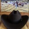 Texana Tombstone Chaparral - Imagen 8